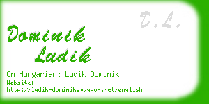 dominik ludik business card